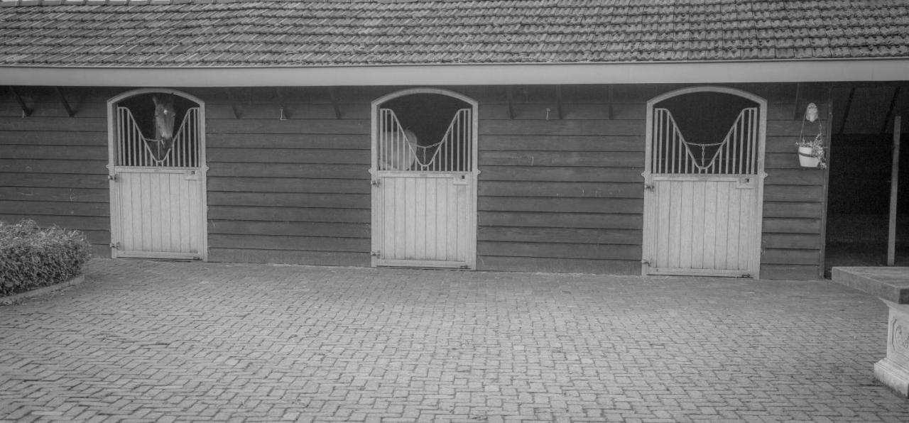 Bed En Box 3610 Bed & Breakfast Oirschot Luaran gambar